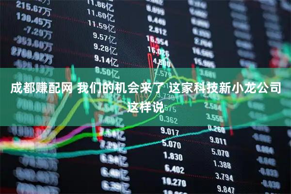 成都赚配网 我们的机会来了 这家科技新小龙公司这样说