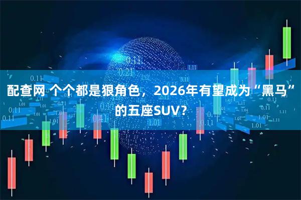 配查网 个个都是狠角色，2026年有望成为“黑马”的五座SUV？