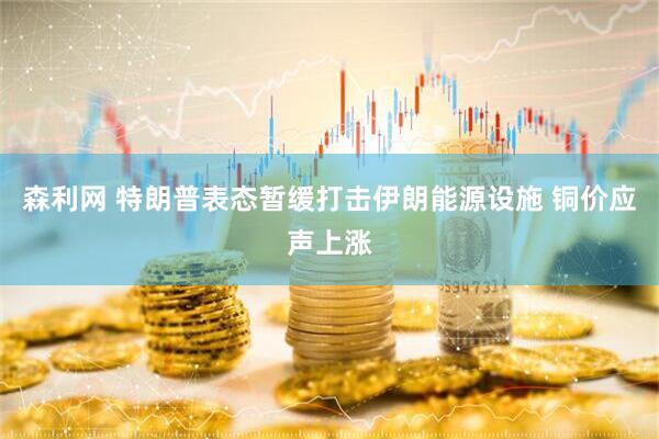 森利网 特朗普表态暂缓打击伊朗能源设施 铜价应声上涨