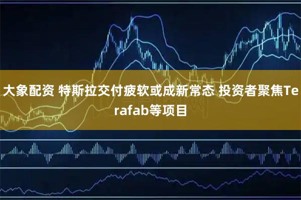 大象配资 特斯拉交付疲软或成新常态 投资者聚焦Terafab等项目