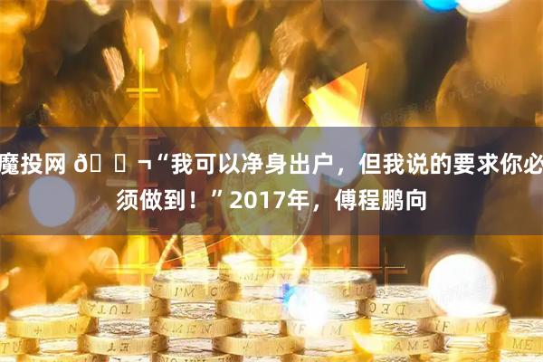 魔投网 🌬“我可以净身出户，但我说的要求你必须做到！”2017年，傅程鹏向