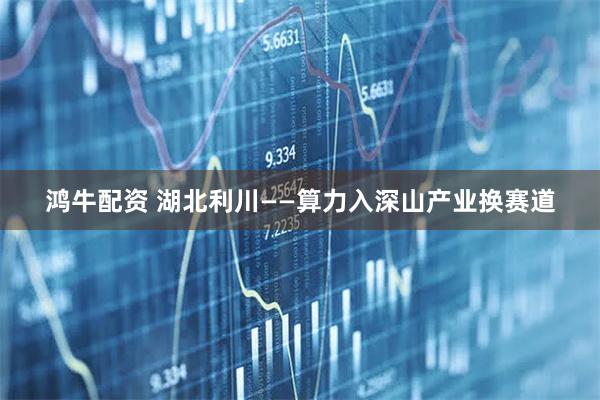 鸿牛配资 湖北利川——算力入深山产业换赛道