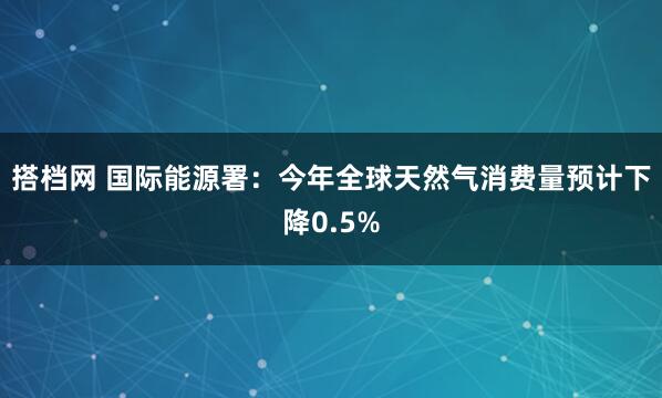 搭档网 国际能源署：今年全球天然气消费量预计下降0.5%
