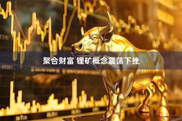 聚合财富 锂矿概念震荡下挫