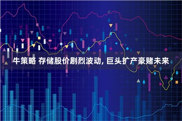 牛策略 存储股价剧烈波动, 巨头扩产豪赌未来